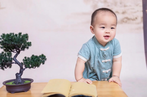 六安可爱的企鹅宝宝